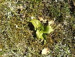 DSC00556.jpg