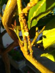 IMG_20220705_203108.jpg