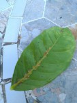 IMG_20220705_202956.jpg