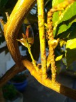 IMG_20220705_203100.jpg