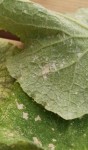IMG_20220713_092547.jpg