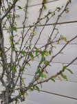 IMG_20220717_200025.jpg