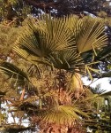 IMG_20220719_201218.jpg