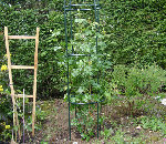 DSC00875 - Copie.JPG