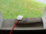 DSC01237.jpg