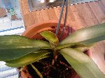 IMAGE_040.jpg