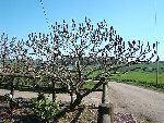 DSC05114.jpg