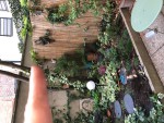 394F00C8-6BEA-41B1-9FD7-A758A47540AF.jpeg