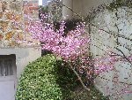 DSC00102r.JPG