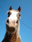 DSC05111.jpg