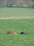 DSC05119.jpg