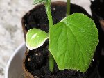 P3310011 (Small).JPG