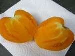 IMG_0262.JPG