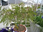Photo 002.jpg