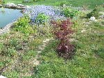 P1000574 (Small).JPG