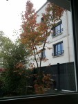 IMG_20221029_132535_969-min.jpg