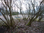 Photo 780_petite.jpg