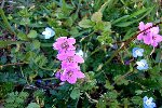 DSC01890.JPG