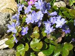 IMG_0311.JPG