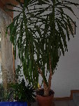 14-15.02.09 036.jpg