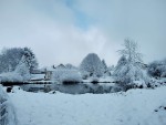 Compress_20230122_234653_3991.jpg