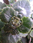 Photo021.jpg