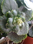 Photo014.jpg