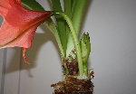 Photo 061.jpg