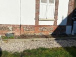 thumbnail_IMG_5414.jpg