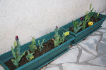 voici mes 2 pots