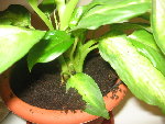 Photo 072.jpg