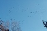 IMG_20230220_113258.jpg