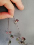 ceropegia 3.jpg