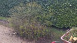 IMG_20230312_143231838.jpg