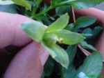 DSC00104.JPG