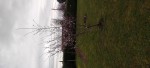 IMG_20230319_092235.jpg