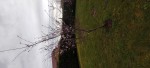 IMG_20230319_092242.jpg