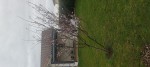 IMG_20230319_092302.jpg