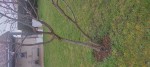 IMG_20230319_092311.jpg