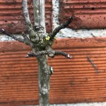 IMG_0220.jpg