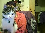 Picture0021.jpg