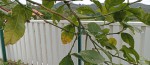 IMG_20230429_171329.jpg
