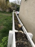 IMG_3461.jpeg