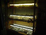 DSCF2036.JPG