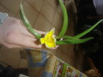 DSC00009.JPG