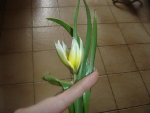 DSC00010.JPG