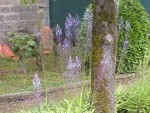 DSCN0929.JPG