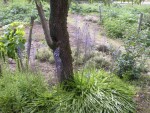DSCN0928.JPG