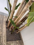 IMG_2791.jpeg