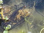 DSCN3892.JPG